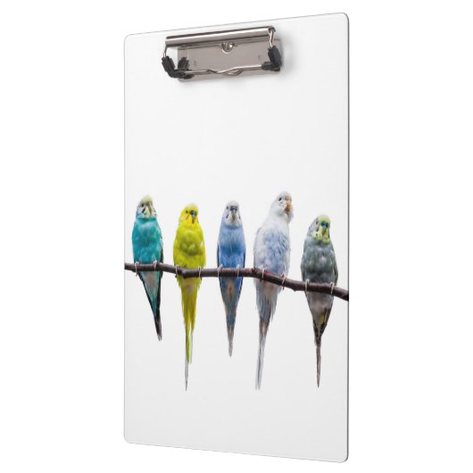 Budgies Klembord (Links)
