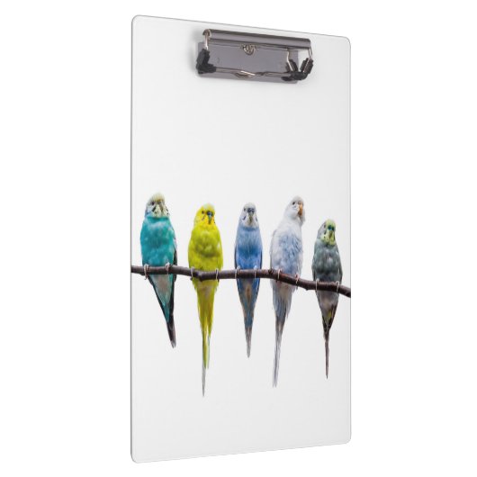 Budgies Klembord (Rechts)
