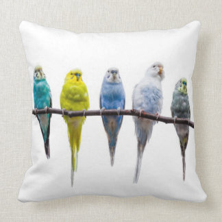 Budgies Kussen