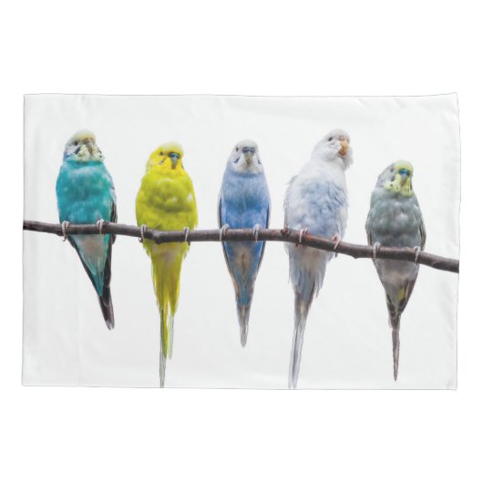 Budgies Kussensloop (Achterkant)