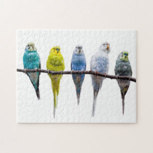 Budgies Legpuzzel