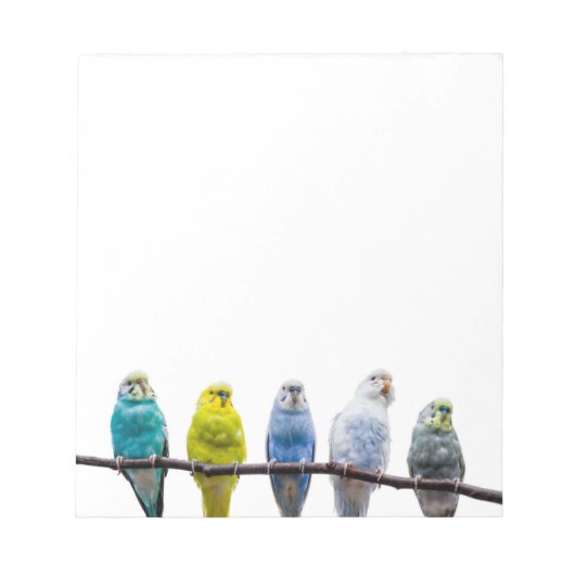 Budgies Notitieblok (Voorkant)