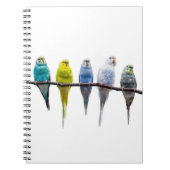 Budgies Notitieboek (Voorkant)