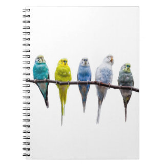 Budgies Notitieboek
