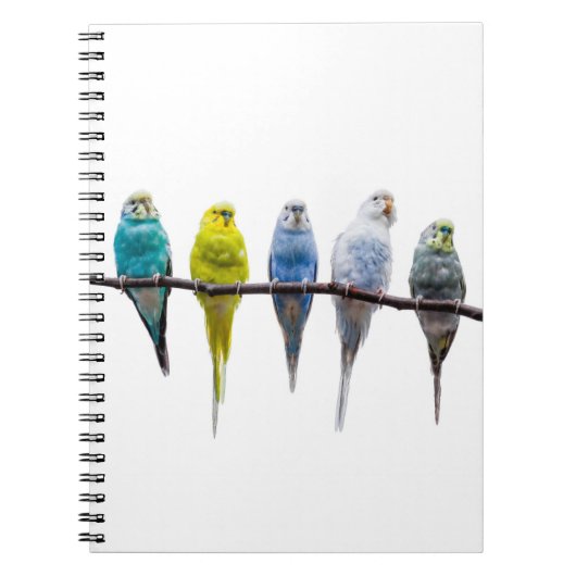 Budgies Notitieboek (Voorkant)