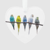 Budgies Ornament (voorkant)