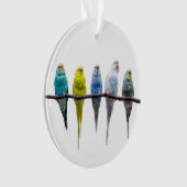 Budgies Ornament (voorkant)