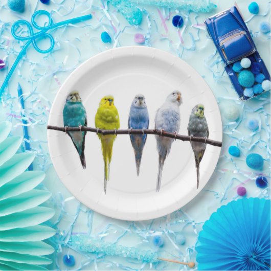 Budgies Papieren Bordje (Feest)