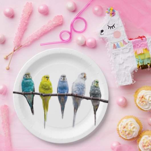 Budgies Papieren Bordje (Feest)