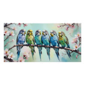Budgies Perfect Poster (Voorkant)
