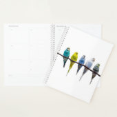 Budgies Planner (Display)