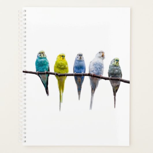 Budgies Planner (Voorkant)