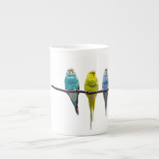 Budgies Porselein Kop