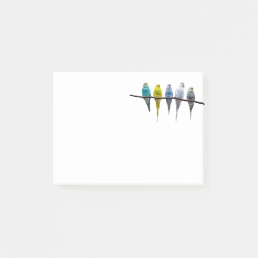 Budgies Post-it® Notes (Voorkant)