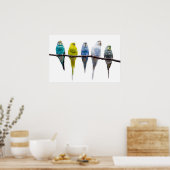 Budgies Poster (Keuken)