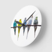 Budgies Ronde Klok (Hoek)