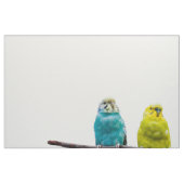 Budgies Stof (Fat Quarter)