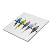 Budgies Tegeltje (Zijkant)