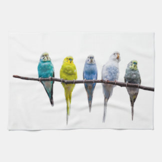 Budgies Theedoek