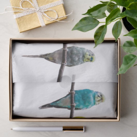 Budgies Tissuepapier (Geschenk)