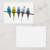 Budgies Visitekaartje (Voorkant / Achterkant)