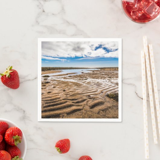 Budir Beach, IJsland Servet (Insitu)