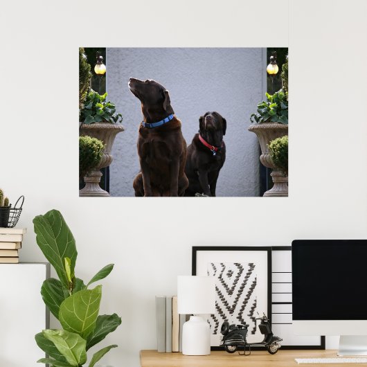 "Buds", chocolade labs Poster (Thuiskantoor)