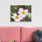 Buds in Early Spring Hondenhout Canvas Afdruk (Insitu (Woonkamer))