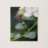 Buds van de kaper struik, Capparis spinos. Legpuzzel (Verticaal)