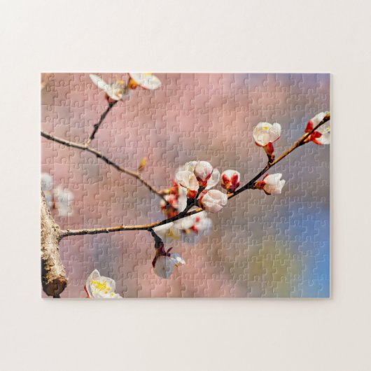 Buds van Japanse abrikozenbloemen in het voorjaar Legpuzzel (Horizontaal)