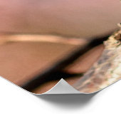 Buds van Japanse abrikozenbloemen Poster (Hoek)