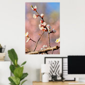 Buds van Japanse abrikozenbloemen Poster (Thuiskantoor)