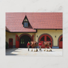 Budweiser Clydesdale paarden in New Hampshire Briefkaart