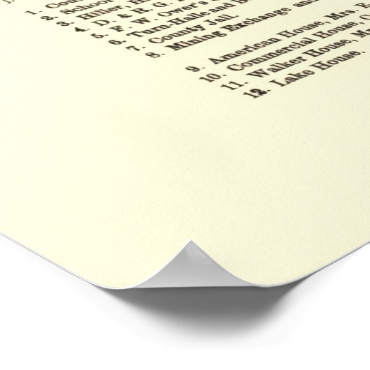 Buena Vista, CO Panoramic Map - 1882 Poster (Hoek)