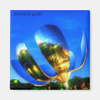 BUENOS AIRES, Argentinië Magneet