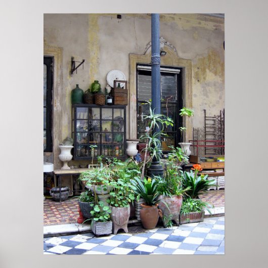 Buenos Aires Scene Poster (Voorkant)