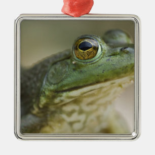 Bufallo National River, Northwest Arkansas Metalen Ornament