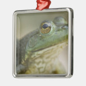 Bufallo National River, Northwest Arkansas Metalen Ornament (Links)