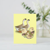 Buff African Goose Family Briefkaart (Staand voorkant)