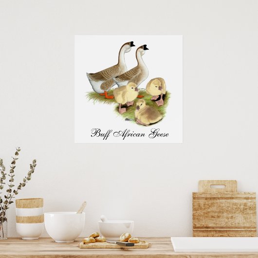 Buff African Goose Family Poster (Keuken)