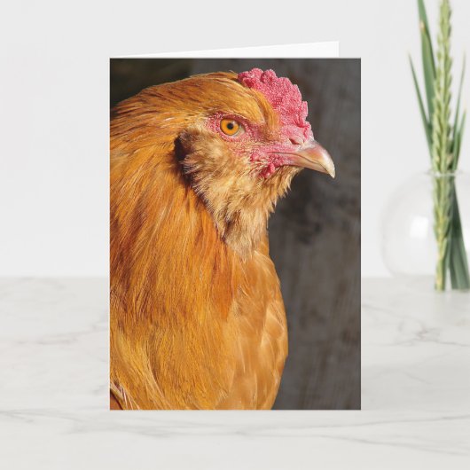 Buff Ameraucana Rooster All Occasions Greep Feestdagen Kaart (Voorkant)