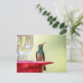 Buff-bellied hummingbird in Texas Briefkaart (Staand voorkant)