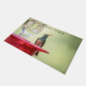 Buff-bellied hummingbird in Texas Deurmat (Schuin)