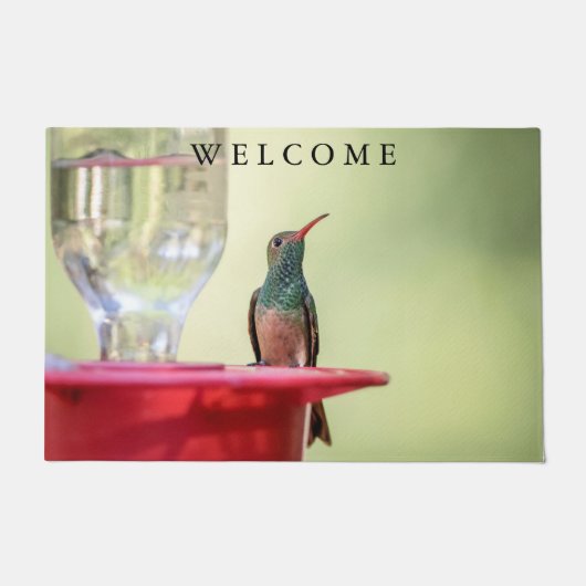 Buff-bellied hummingbird in Texas Deurmat (Voorkant)