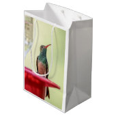 Buff-bellied hummingbird in Texas Medium Cadeauzakje (Achterkant Gekanteld)