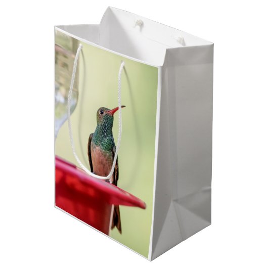Buff-bellied hummingbird in Texas Medium Cadeauzakje (Voorkant Gekanteld)