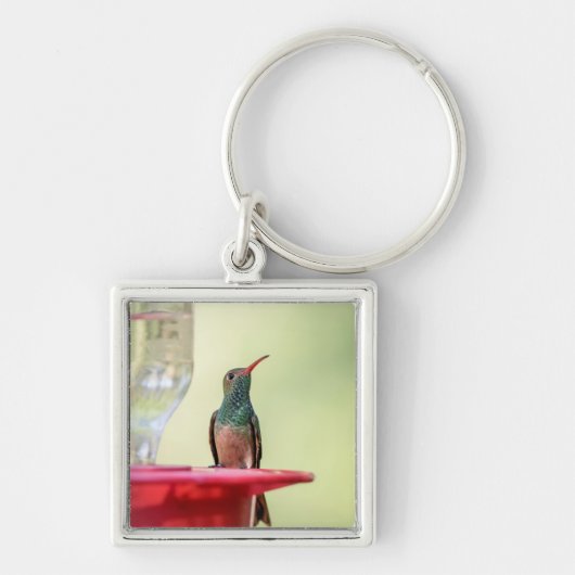 Buff-bellied hummingbird in Texas Sleutelhanger (Voorkant)