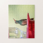 Buff-bellied kolibrie in Texas Legpuzzel (Verticaal)