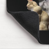Buff Cats Autisme meme Muismat (Hoek)