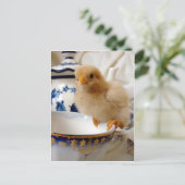 Buff Chick in Tea Briefkaart (Staand voorkant)
